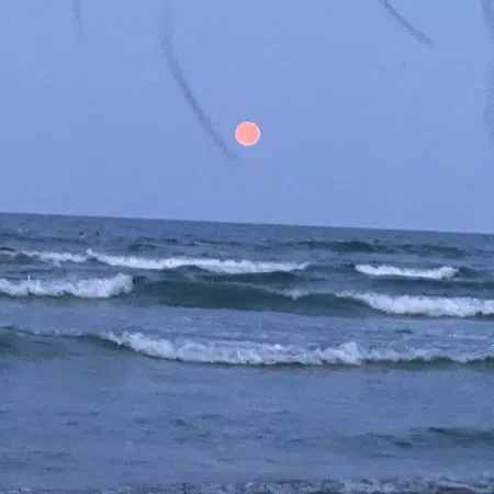 Afthonia Mamaia Nord